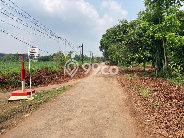 Untuk Dijual Tanah di Kalijati Subang Luas 220000m2 SHM Untuk Dijual Tanah di Kalijati Subang Luas 220000m2 SHM