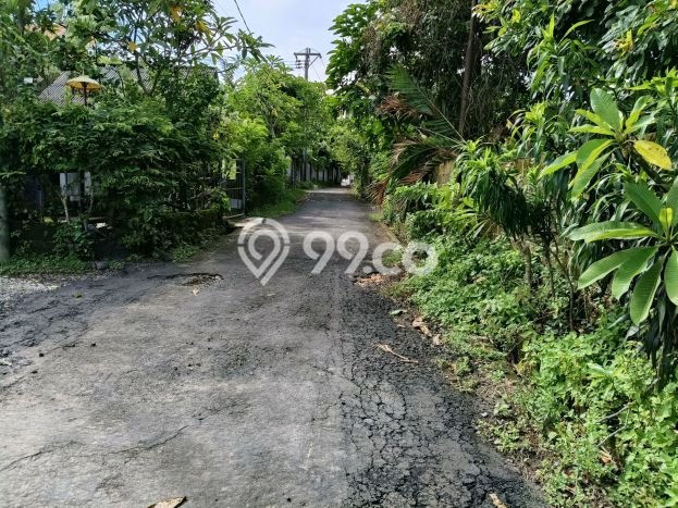 Tanah Siap Bangun Dijual di Badung Punya Luas 500m2 Tanah Siap Bangun Dijual di Badung Punya Luas 500m2