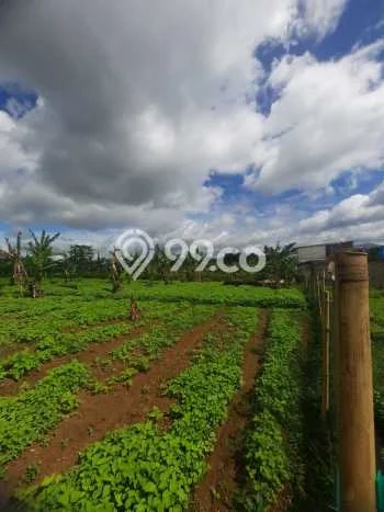 Kavling Tanah untuk Dijual di Bandung Barat, Bandung, Luas 3518m2 Kavling Tanah untuk Dijual di Bandung Barat, Bandung, Luas 3518m2