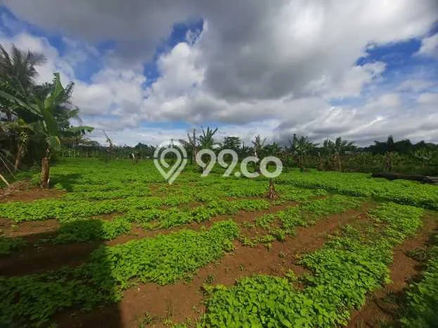 Kavling Tanah untuk Dijual di Bandung Barat, Bandung, Luas 3518m2 Kavling Tanah untuk Dijual di Bandung Barat, Bandung, Luas 3518m2