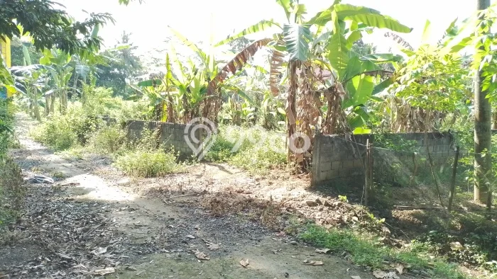 Kavling Tanah di Temon Dijual Luas 260m2 Legalitas SHM Kavling Tanah di Temon Dijual Luas 260m2 Legalitas SHM