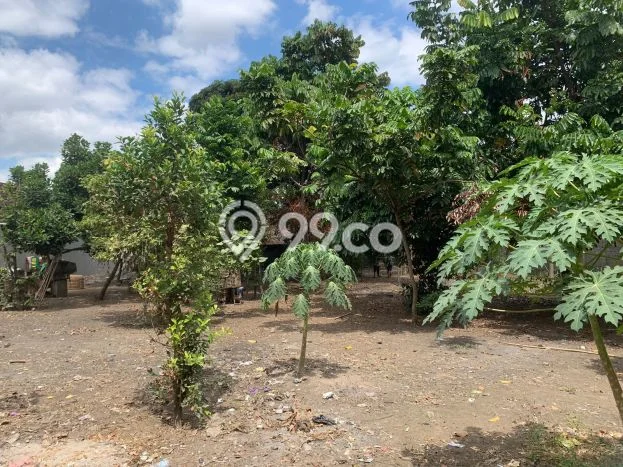 Lahan Strategis di Mlati Dijual dengan Luas 1378m2 Lahan Strategis di Mlati Dijual dengan Luas 1378m2