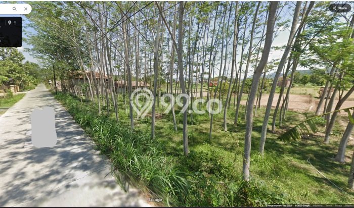 Tanah Kavling di Piyungan Dijual dengan Luas 1064m2 Tanah Kavling di Piyungan Dijual dengan Luas 1064m2