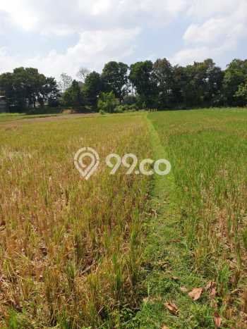 Lahan Strategis di Mlati Dijual dengan Luas 2662m2 Lahan Strategis di Mlati Dijual dengan Luas 2662m2