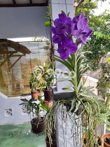Jual Rumah Minimalis Bagus Punya 4 KT di Umbulharjo Yogyakarta SHM Jual Rumah Minimalis Bagus Punya 4 KT di Umbulharjo Yogyakarta SHM