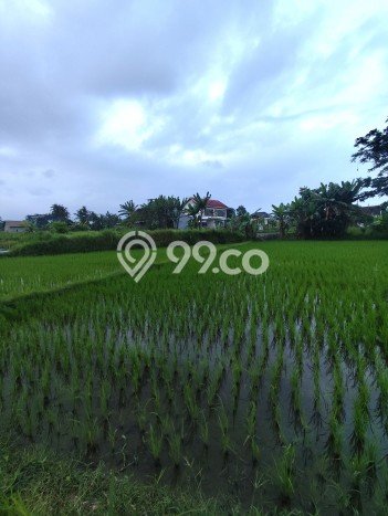 Lahan Investasi Lokasi Ngaglik Sleman SHM Lahan Investasi Lokasi Ngaglik Sleman SHM