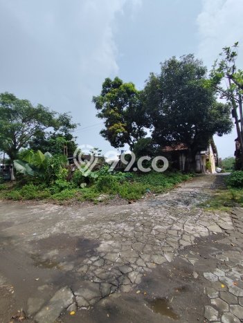 Tanah Dijual Lokasi Strategis di Yogyakarta dengan Luas 115m2 Tanah Dijual Lokasi Strategis di Yogyakarta dengan Luas 115m2