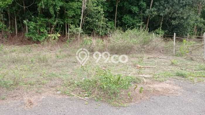 Tanah Strategis Disewakan di Ngaglik Sleman Seluas 147m2 Tanah Strategis Disewakan di Ngaglik Sleman Seluas 147m2