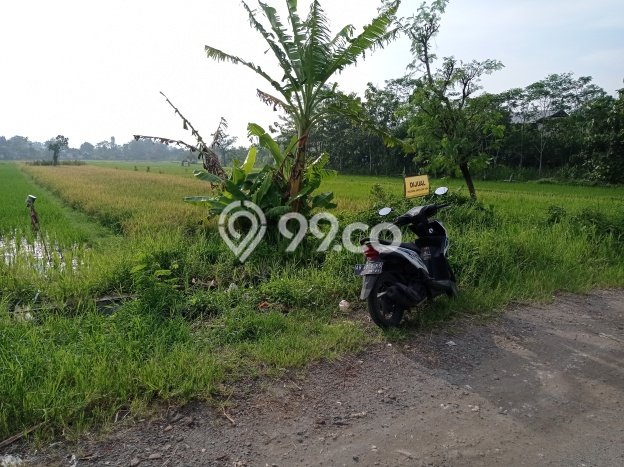 Tanah Dijual Lokasi Banguntapan Bantul SHM Tanah Dijual Lokasi Banguntapan Bantul SHM