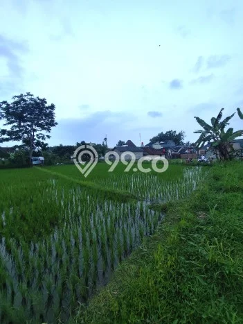 Lahan Investasi Lokasi Ngaglik Sleman SHM Lahan Investasi Lokasi Ngaglik Sleman SHM