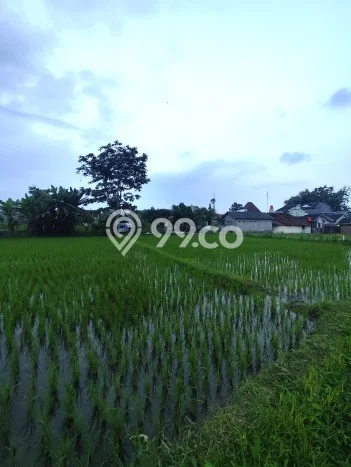 Lahan Investasi Lokasi Ngaglik Sleman SHM Lahan Investasi Lokasi Ngaglik Sleman SHM