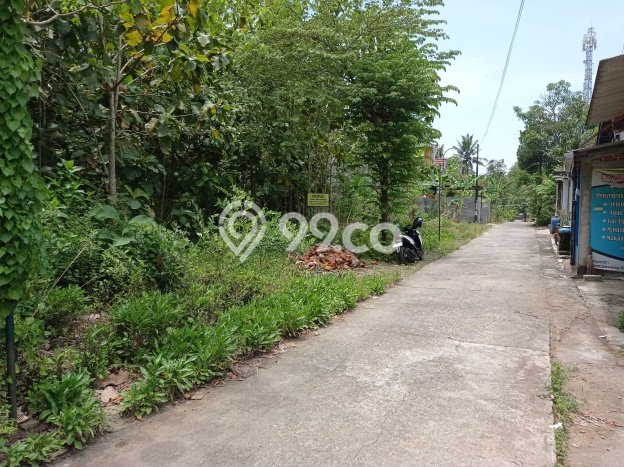 Dijual Tanah di Kasihan Bantul Luas 526m2 SHM Dijual Tanah di Kasihan Bantul Luas 526m2 SHM