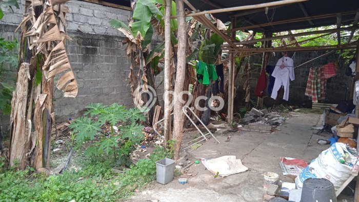 Dijual Rumah 3 Kamar Lokasi Strategis Nyaman dan Strategis di Sedayu Dijual Rumah 3 Kamar Lokasi Strategis Nyaman dan Strategis di Sedayu