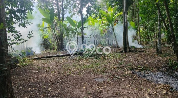 Dijual Tanah 260m2 di Bambanglipuro, Bantul Dijual Tanah 260m2 di Bambanglipuro, Bantul
