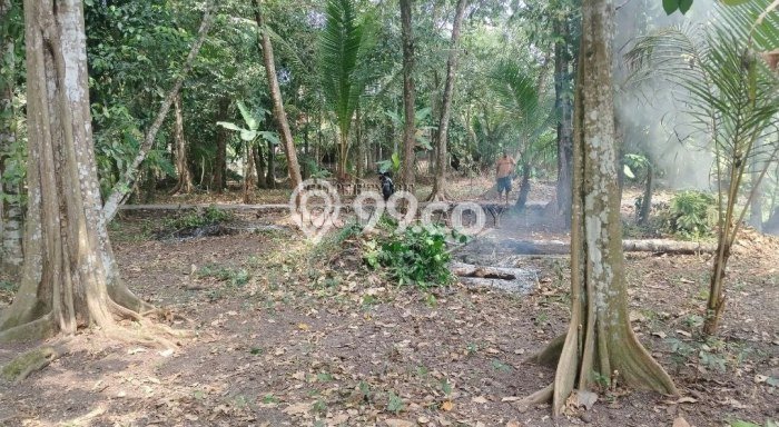 Dijual Tanah 260m2 di Bambanglipuro, Bantul Dijual Tanah 260m2 di Bambanglipuro, Bantul