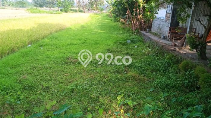 Kavling Tanah di Bantul Dijual Luas 679m2 Legalitas SHM Kavling Tanah di Bantul Dijual Luas 679m2 Legalitas SHM