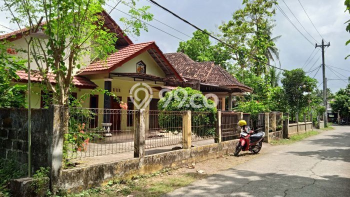 Dijual Rumah 3 Kamar Lokasi Strategis Nyaman dan Strategis di Sedayu Dijual Rumah 3 Kamar Lokasi Strategis Nyaman dan Strategis di Sedayu