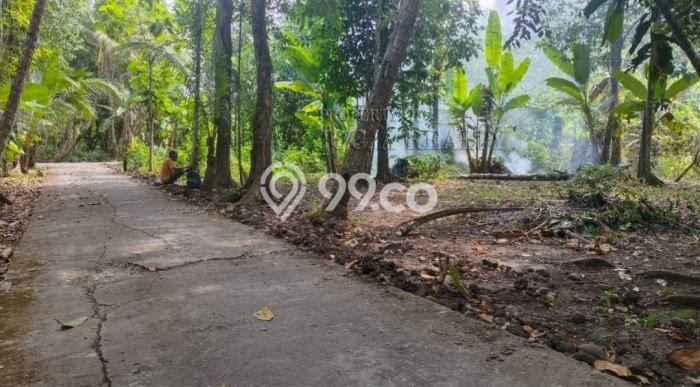 Dijual Tanah 260m2 di Bambanglipuro, Bantul Dijual Tanah 260m2 di Bambanglipuro, Bantul
