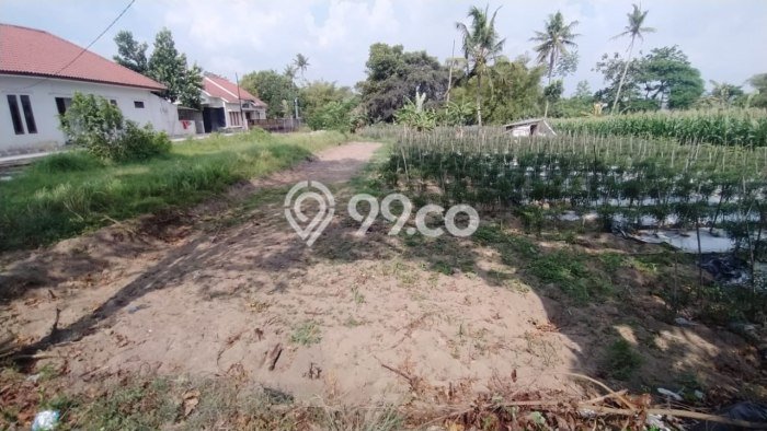 Kavling Tanah di Ngaglik Dijual Luas 340m2 Legalitas SHM Kavling Tanah di Ngaglik Dijual Luas 340m2 Legalitas SHM