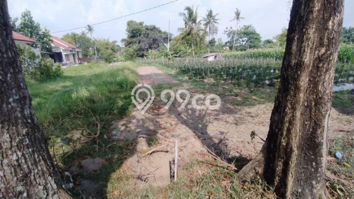 Kavling Tanah di Ngaglik Dijual Luas 340m2 Legalitas SHM Kavling Tanah di Ngaglik Dijual Luas 340m2 Legalitas SHM