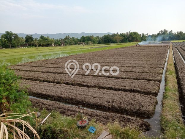 Tanah Dijual di Bantul Seluas 2713m2 Strategis Tanah Dijual di Bantul Seluas 2713m2 Strategis