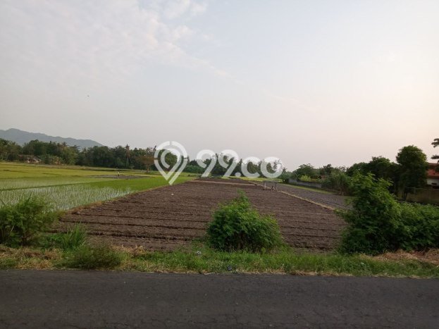 Tanah Dijual di Bantul Seluas 2713m2 Strategis Tanah Dijual di Bantul Seluas 2713m2 Strategis