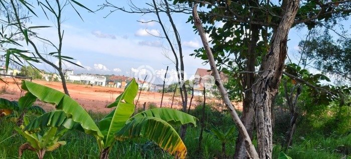 Tanah Kavling Dijual di Kabil, Batam dengan Luas Tanah 4m2 Tanah Kavling Dijual di Kabil, Batam dengan Luas Tanah 4m2