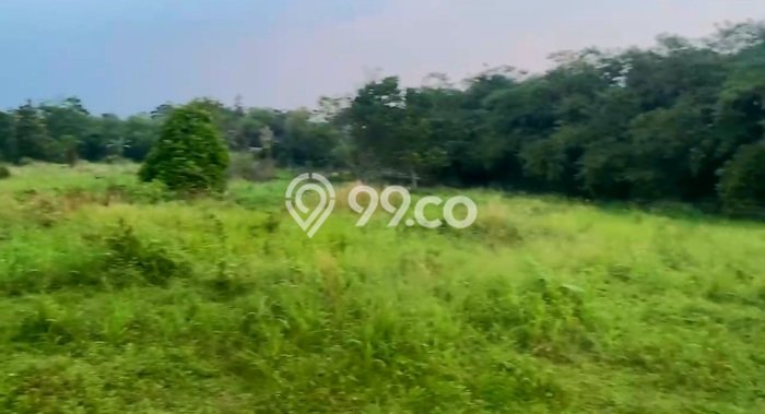 Tanah Kavling untuk Dijual di Cisauk Tangerang 9220m2 Tanah Kavling untuk Dijual di Cisauk Tangerang 9220m2