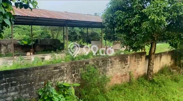 Tanah Kavling untuk Dijual di Cisauk Tangerang 9220m2 Tanah Kavling untuk Dijual di Cisauk Tangerang 9220m2