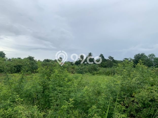Tanah Dijual Lokasi Tangerang, Tangerang Luas 10000m2 Legalitas Aman Tanah Dijual Lokasi Tangerang, Tangerang Luas 10000m2 Legalitas Aman