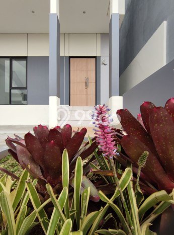 BEST CHOICE! Rumah area Ujung Berung, LT 48m² Bangunan 50m² BEST CHOICE! Rumah area Ujung Berung, LT 48m² Bangunan 50m²