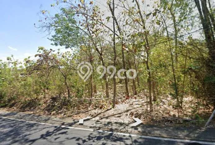 Lahan untuk Dijual di Bantul Bantul Luas 1907m2 Lahan untuk Dijual di Bantul Bantul Luas 1907m2