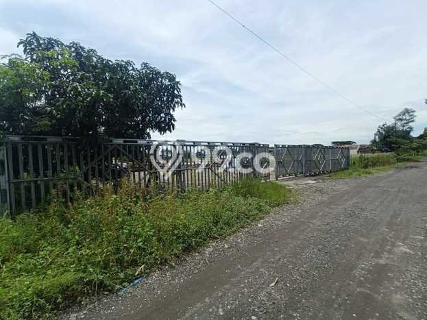Tanah Dijual Lokasi Grogol, Sukoharjo Luas 2700m2 Legalitas Aman Tanah Dijual Lokasi Grogol, Sukoharjo Luas 2700m2 Legalitas Aman