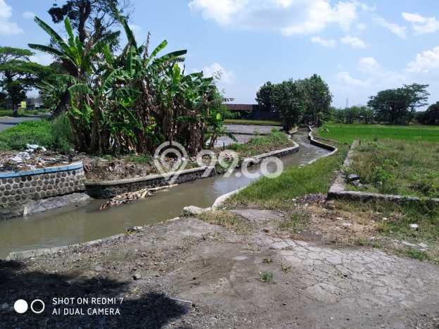 Dijual Tanah di Wonosari Klaten Luas 601m2 SHM Dijual Tanah di Wonosari Klaten Luas 601m2 SHM