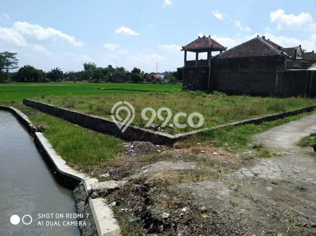 Dijual Tanah di Wonosari Klaten Luas 601m2 SHM Dijual Tanah di Wonosari Klaten Luas 601m2 SHM