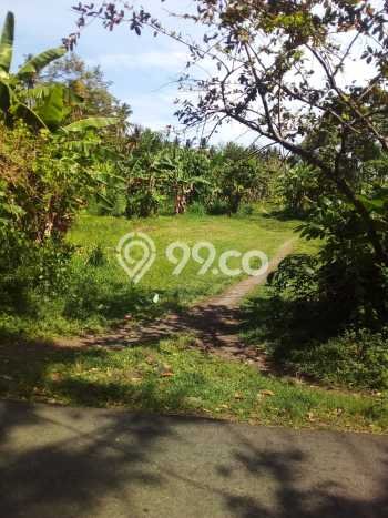 Kavling Tanah Dijual di Negara Jembrana Spesifikasi 45420m2 Kavling Tanah Dijual di Negara Jembrana Spesifikasi 45420m2