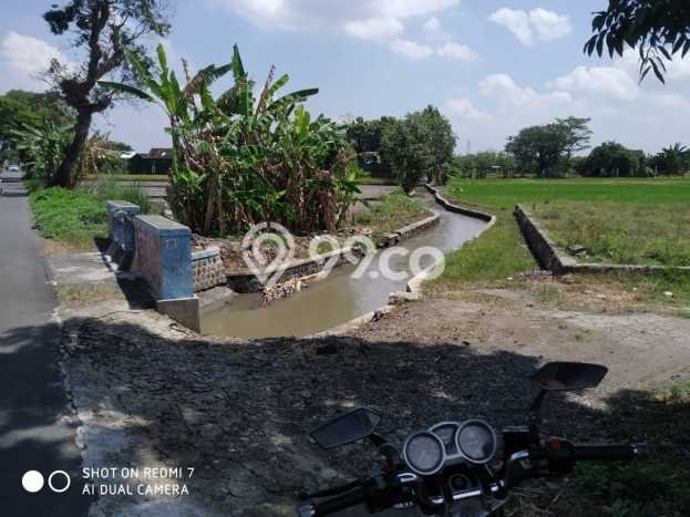 Dijual Tanah di Wonosari Klaten Luas 601m2 SHM Dijual Tanah di Wonosari Klaten Luas 601m2 SHM