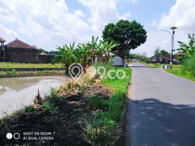 Dijual Tanah di Wonosari Klaten Luas 601m2 SHM Dijual Tanah di Wonosari Klaten Luas 601m2 SHM
