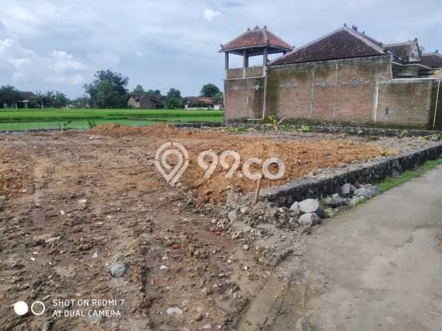 Dijual Tanah di Wonosari Klaten Luas 601m2 SHM Dijual Tanah di Wonosari Klaten Luas 601m2 SHM