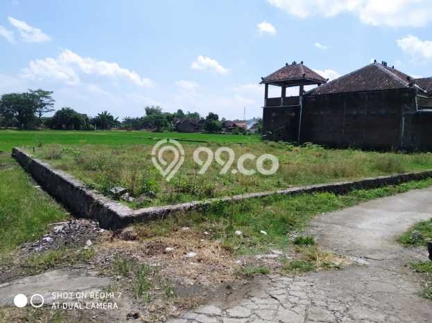 Dijual Tanah di Wonosari Klaten Luas 601m2 SHM Dijual Tanah di Wonosari Klaten Luas 601m2 SHM
