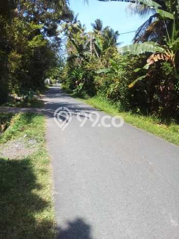 Kavling Tanah Dijual di Negara Jembrana Spesifikasi 45420m2 Kavling Tanah Dijual di Negara Jembrana Spesifikasi 45420m2