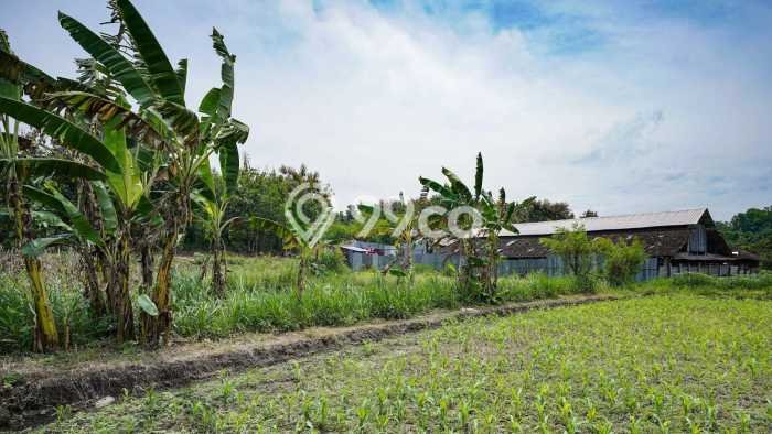 Tanah Siap Pakai Disewakan di Gondangrejo, Karanganyar, Luas 4386m2 Tanah Siap Pakai Disewakan di Gondangrejo, Karanganyar, Luas 4386m2
