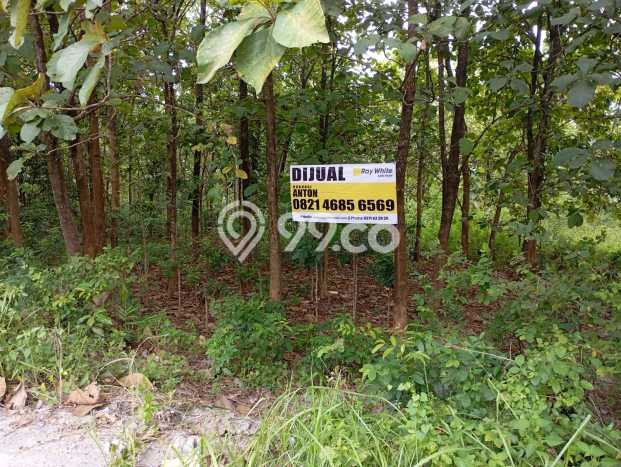 Tanah di Bendosari, Sukoharjo Luas 8615m2 Dijual Segera Tanah di Bendosari, Sukoharjo Luas 8615m2 Dijual Segera