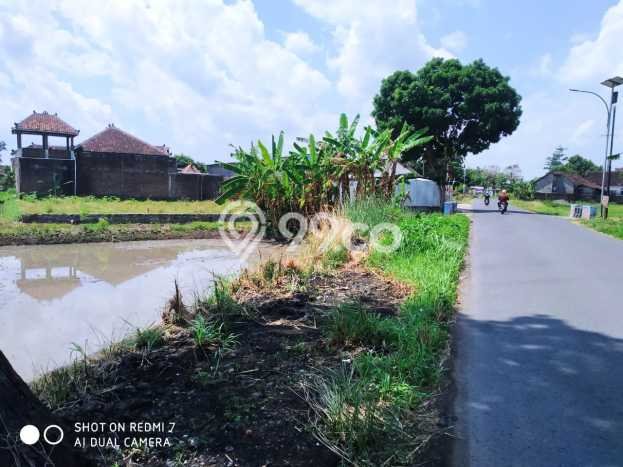 Dijual Tanah di Wonosari Klaten Luas 601m2 SHM Dijual Tanah di Wonosari Klaten Luas 601m2 SHM