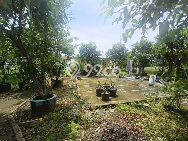 Tanah Dijual Lokasi Grogol, Sukoharjo Luas 2700m2 Legalitas Aman Tanah Dijual Lokasi Grogol, Sukoharjo Luas 2700m2 Legalitas Aman