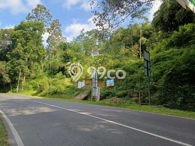 Untuk Dijual Tanah di Karangpandan Karanganyar Luas 2806m2 SHM Untuk Dijual Tanah di Karangpandan Karanganyar Luas 2806m2 SHM