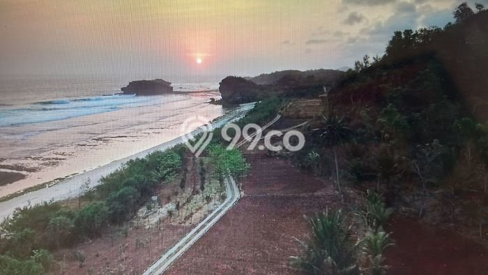Lahan Kosong Dijual di Pacitan dengan Area 4568m2 Lahan Kosong Dijual di Pacitan dengan Area 4568m2