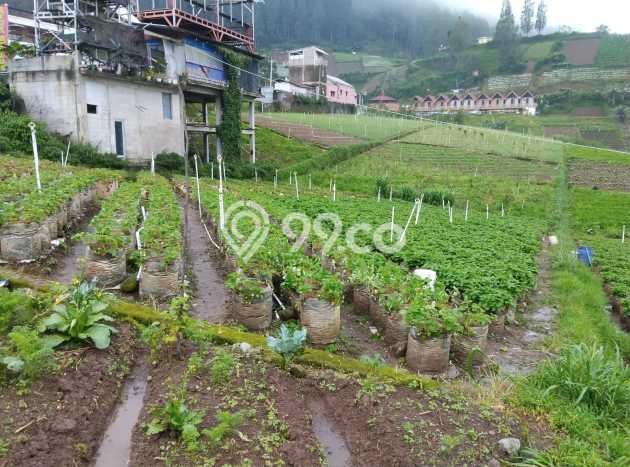 Kavling Tanah Dijual di Tawangmangu, Karanganyar, Luas 1100m2 Area Strategis Kavling Tanah Dijual di Tawangmangu, Karanganyar, Luas 1100m2 Area Strategis