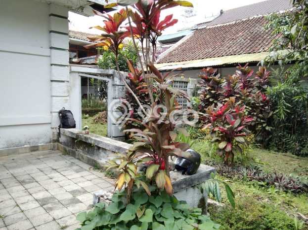 Rumah Mewah LB 250m2 Siap Huni Desain Elegan di Dago, Bandung Rumah Mewah LB 250m2 Siap Huni Desain Elegan di Dago, Bandung