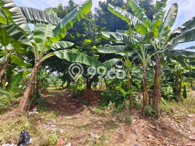 Lahan Dijual Lokasi Strategis di Bekasi dengan Luas 3095m2 Lahan Dijual Lokasi Strategis di Bekasi dengan Luas 3095m2